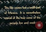 Image of reed and palm Mexico, 1941, second 31 stock footage video 65675026499
