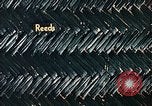 Image of reed and palm Mexico, 1941, second 42 stock footage video 65675026499