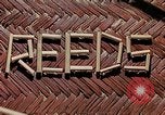Image of use of Reed and Palm Mexico, 1941, second 5 stock footage video 65675026500