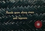 Image of use of Reed and Palm Mexico, 1941, second 8 stock footage video 65675026500