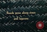 Image of use of Reed and Palm Mexico, 1941, second 9 stock footage video 65675026500