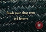Image of use of Reed and Palm Mexico, 1941, second 12 stock footage video 65675026500