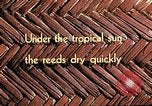 Image of reed and palm Mexico, 1941, second 3 stock footage video 65675026501