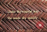 Image of reed and palm Mexico, 1941, second 4 stock footage video 65675026501
