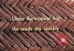 Image of reed and palm Mexico, 1941, second 5 stock footage video 65675026501