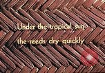Image of reed and palm Mexico, 1941, second 6 stock footage video 65675026501