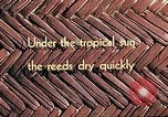 Image of reed and palm Mexico, 1941, second 9 stock footage video 65675026501