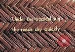 Image of reed and palm Mexico, 1941, second 10 stock footage video 65675026501