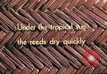 Image of reed and palm Mexico, 1941, second 11 stock footage video 65675026501