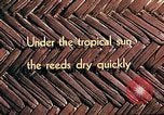 Image of reed and palm Mexico, 1941, second 12 stock footage video 65675026501