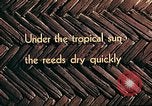 Image of reed and palm Mexico, 1941, second 13 stock footage video 65675026501