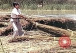 Image of reed and palm Mexico, 1941, second 14 stock footage video 65675026501