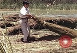 Image of reed and palm Mexico, 1941, second 16 stock footage video 65675026501