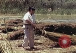 Image of reed and palm Mexico, 1941, second 19 stock footage video 65675026501