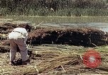 Image of reed and palm Mexico, 1941, second 23 stock footage video 65675026501