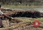 Image of reed and palm Mexico, 1941, second 26 stock footage video 65675026501