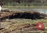 Image of reed and palm Mexico, 1941, second 27 stock footage video 65675026501