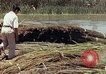 Image of reed and palm Mexico, 1941, second 28 stock footage video 65675026501