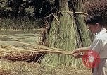Image of reed and palm Mexico, 1941, second 32 stock footage video 65675026501