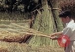 Image of reed and palm Mexico, 1941, second 33 stock footage video 65675026501