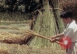 Image of reed and palm Mexico, 1941, second 34 stock footage video 65675026501