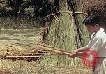 Image of reed and palm Mexico, 1941, second 38 stock footage video 65675026501