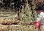 Image of reed and palm Mexico, 1941, second 40 stock footage video 65675026501