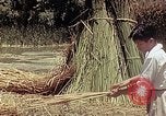 Image of reed and palm Mexico, 1941, second 42 stock footage video 65675026501