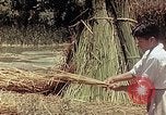 Image of reed and palm Mexico, 1941, second 43 stock footage video 65675026501