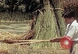 Image of reed and palm Mexico, 1941, second 45 stock footage video 65675026501