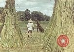 Image of reed and palm Mexico, 1941, second 46 stock footage video 65675026501