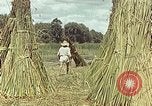 Image of reed and palm Mexico, 1941, second 47 stock footage video 65675026501
