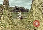 Image of reed and palm Mexico, 1941, second 48 stock footage video 65675026501