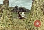 Image of reed and palm Mexico, 1941, second 49 stock footage video 65675026501