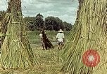 Image of reed and palm Mexico, 1941, second 50 stock footage video 65675026501