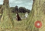 Image of reed and palm Mexico, 1941, second 51 stock footage video 65675026501