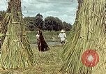 Image of reed and palm Mexico, 1941, second 52 stock footage video 65675026501