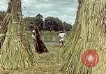 Image of reed and palm Mexico, 1941, second 54 stock footage video 65675026501
