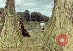 Image of reed and palm Mexico, 1941, second 55 stock footage video 65675026501