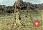 Image of reed and palm Mexico, 1941, second 56 stock footage video 65675026501