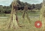 Image of reed and palm Mexico, 1941, second 57 stock footage video 65675026501