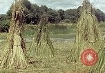 Image of reed and palm Mexico, 1941, second 58 stock footage video 65675026501