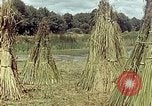 Image of reed and palm Mexico, 1941, second 59 stock footage video 65675026501