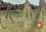 Image of reed and palm Mexico, 1941, second 60 stock footage video 65675026501