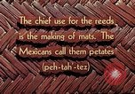 Image of reed and palm Mexico, 1941, second 4 stock footage video 65675026502