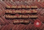 Image of reed and palm Mexico, 1941, second 6 stock footage video 65675026502