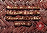 Image of reed and palm Mexico, 1941, second 8 stock footage video 65675026502