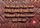 Image of reed and palm Mexico, 1941, second 13 stock footage video 65675026502
