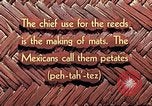 Image of reed and palm Mexico, 1941, second 14 stock footage video 65675026502