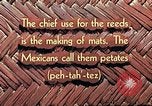 Image of reed and palm Mexico, 1941, second 17 stock footage video 65675026502